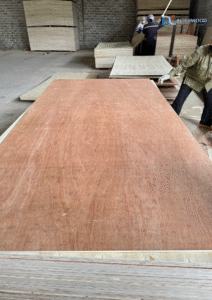 D&C INTERWOOD – Trusted Vietnam plywood manufacturer and exporter delivering high-quality plywood worldwide-1