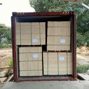 D&C INTERWOOD – Trusted Vietnam plywood manufacturer and exporter delivering high-quality plywood worldwide - 6
