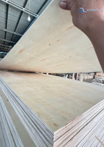 D&C INTERWOOD – Trusted Vietnam plywood manufacturer and exporter delivering high-quality plywood worldwide-2