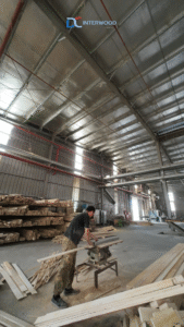 plywood xuat khau Viet Nam
