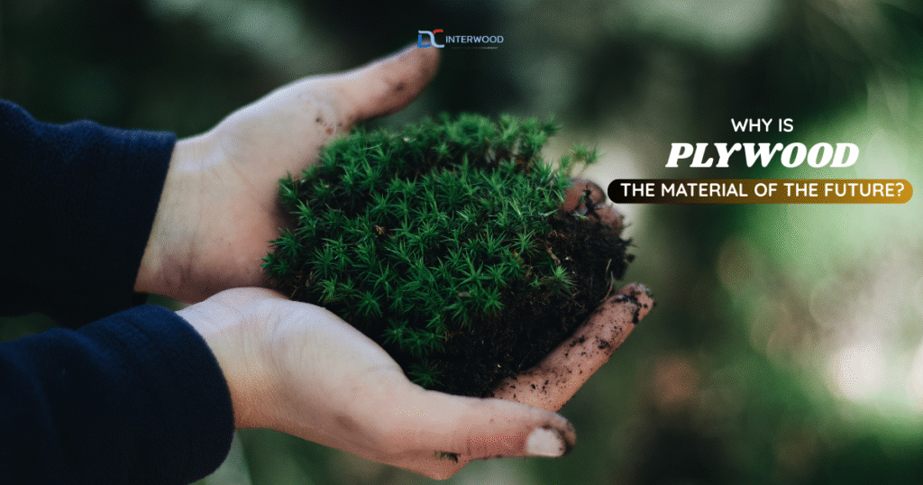 gỗ plywood là vật liệu của tương lai