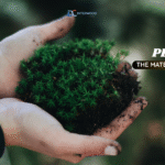 gỗ plywood là vật liệu của tương lai